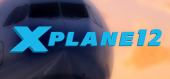 Купить X-Plane 12